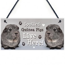 FP - 200X100 - Spoiled Guinea Pigs Here