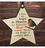 WOODEN STAR - I Have An Angel Mum