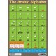 Sumbox Poster and Postal Tube - The Arabic Alphabet