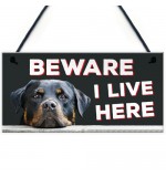 FOAM PLAQUE - 200X100 - Rottweiler Beware I Live Here