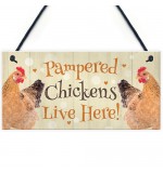 FP - 200X100 - Pampered Chickens Orange