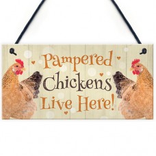 FP - 200X100 - Pampered Chickens Orange