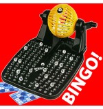 90 Ball Bingo Game with 24 Cards