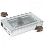 Live Catch Multi Mouse Trap - Large