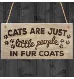 WOODEN PLAQUE - 200x100 - Cats Are Just Little People In Fur Coats