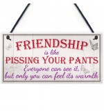 FOAM PLAQUE - 200X100 - Friendship Pants - Vintage