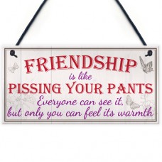 FOAM PLAQUE - 200X100 - Friendship Pants - Vintage