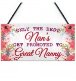 FOAM PLAQUE - 200X100 - Best Nans Promoted To Great Nanny