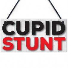 FOAM PLAQUE - 200X100 - Cupid Stunt